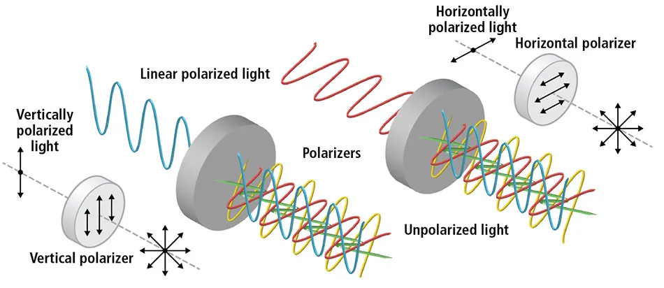Polarization-04