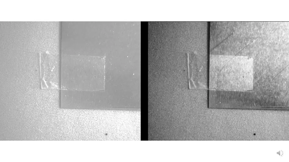 Polarization-14