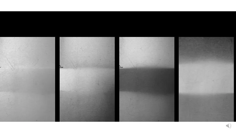 Polarization-15