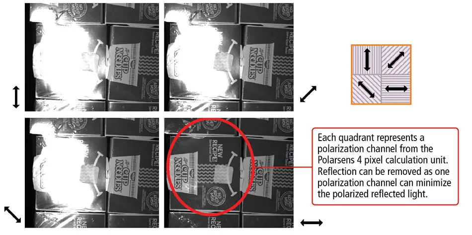 Polarization-17