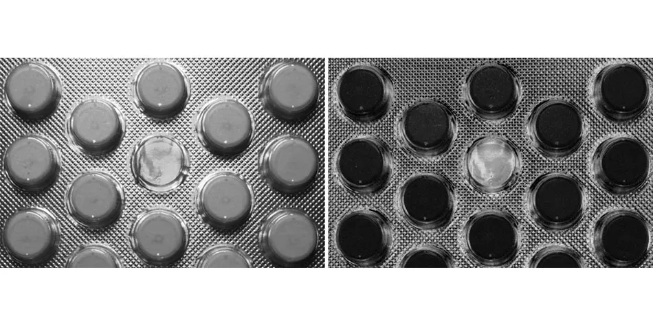 Polarization-18
